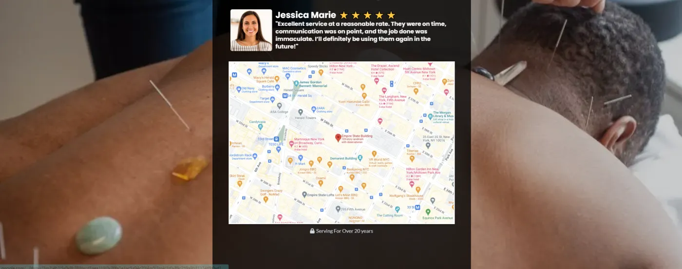 Acupuncturist snapshot screenshot