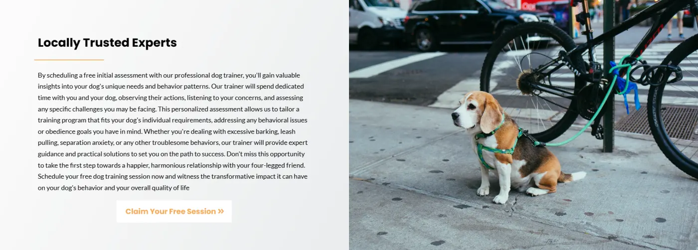Dog Training snapshot screenshot