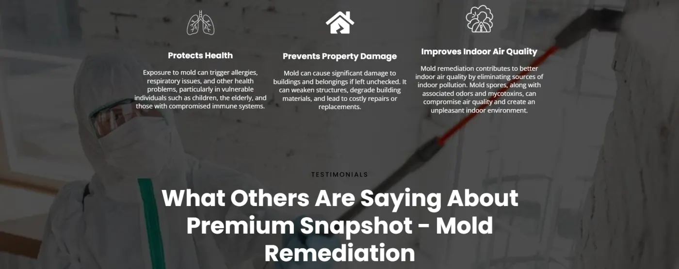 Mold Remediation snapshot preview