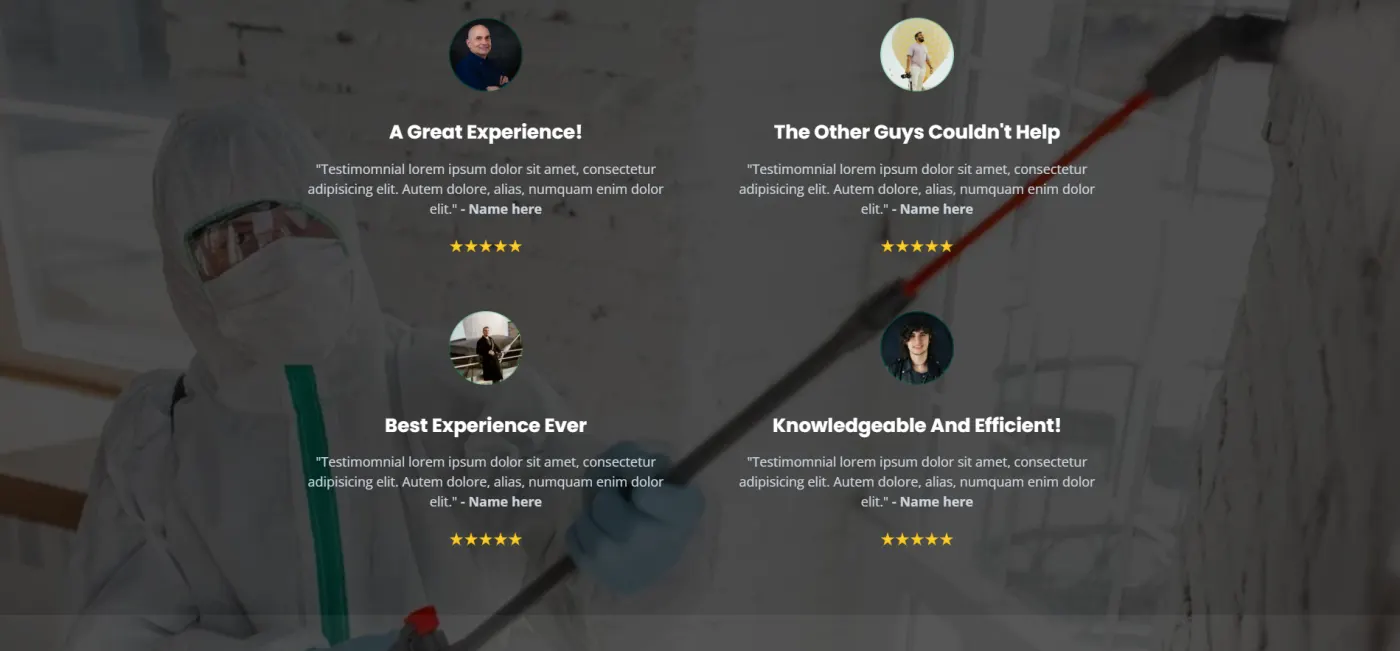 Mold Remediation snapshot screenshot