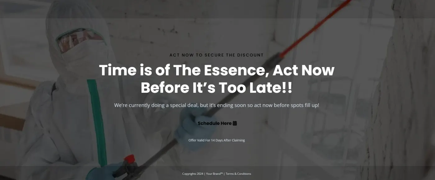 Mold Remediation snapshot screenshot