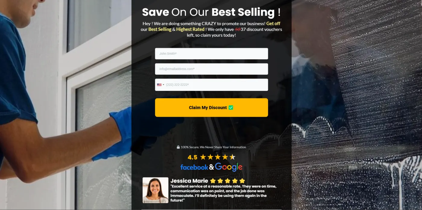 Window Cleaning Service snapshot preview